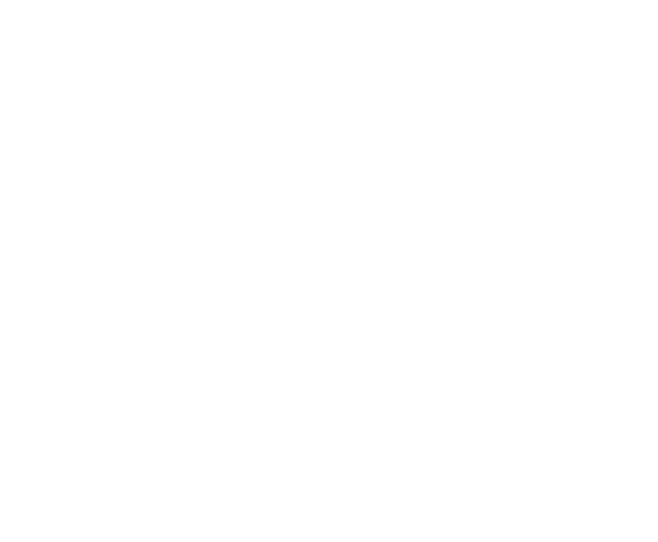 Mojo Food Company